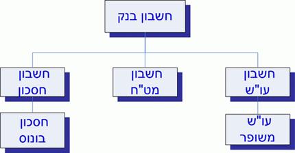 תיאור: Inheritance_100105